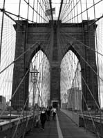 NYC2006_436